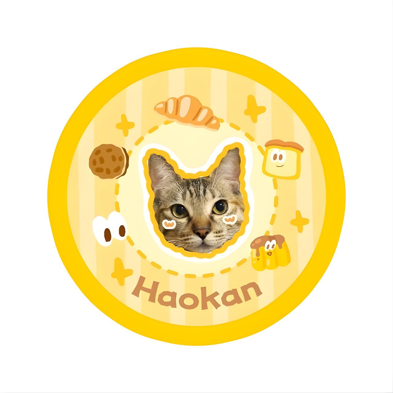 Circular product with a cat's face in the center, surrounded by cartoon elements and the brand 'Haokan'.