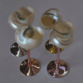 Seashell Martini Glasses for Bridesmaid Gifts